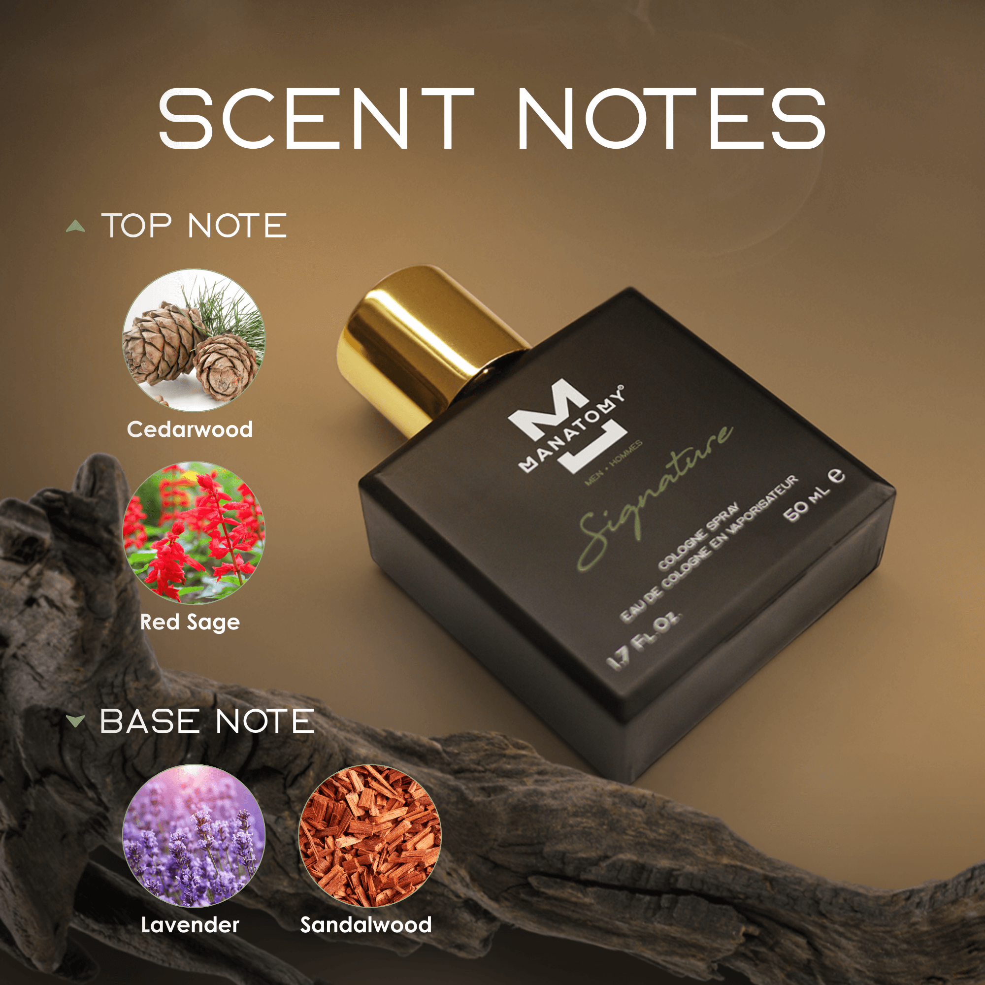 Signature Cologne for Men